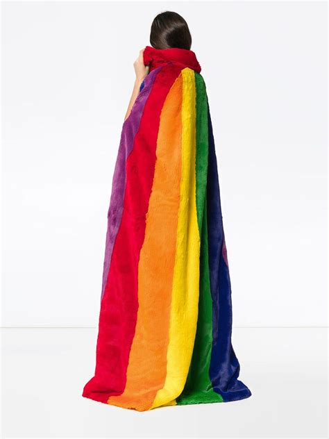 burberry rainbow cape|burberry capes on sale.